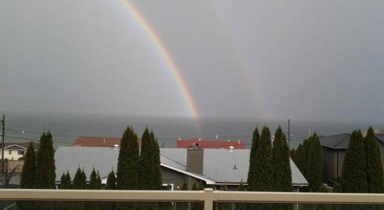 foto19