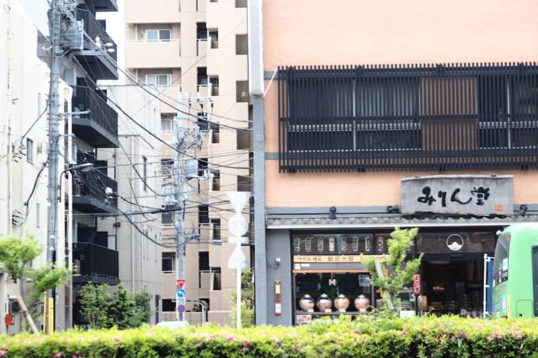 Petit Grande Homes