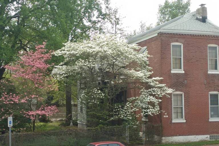 House Dutchtown