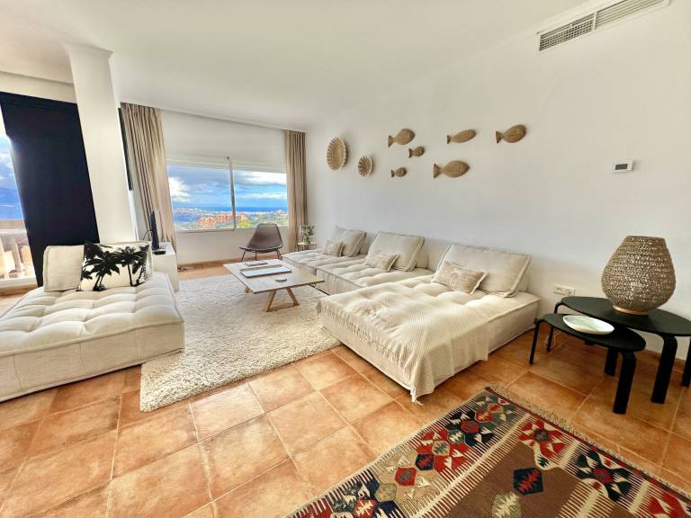 Apartment  Elviria
