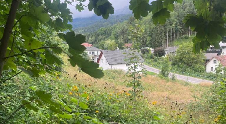 foto41