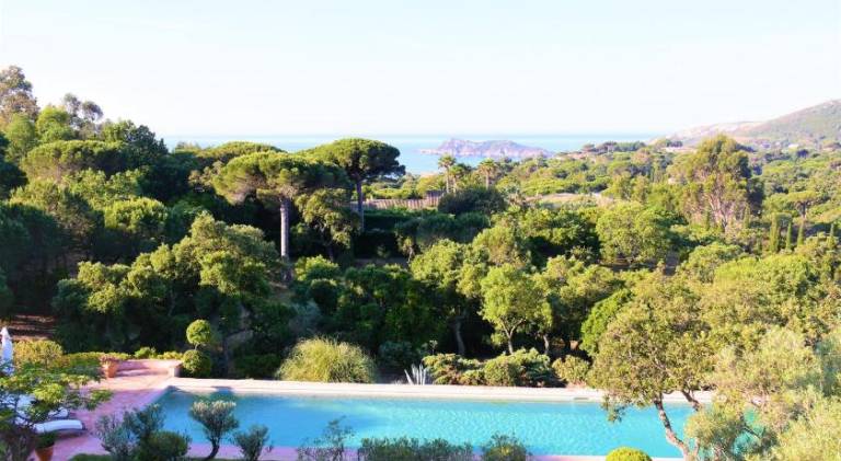 Villa with pool — photo 4