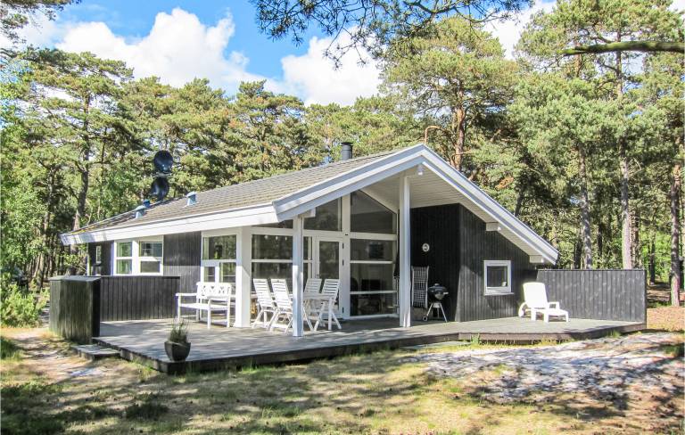 Ferienhaus mit Hund inDueodde, Dueodde Strand  f&uuml;r max. 6 Personen
