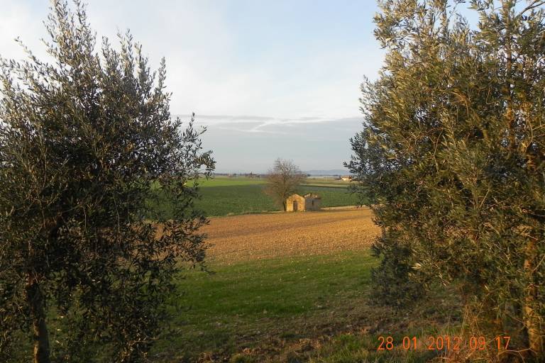 foto29