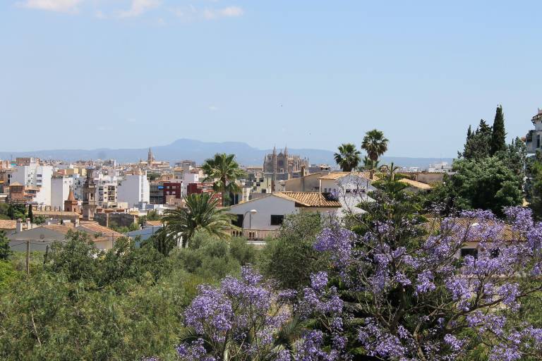 Villa Palma de Mallorca