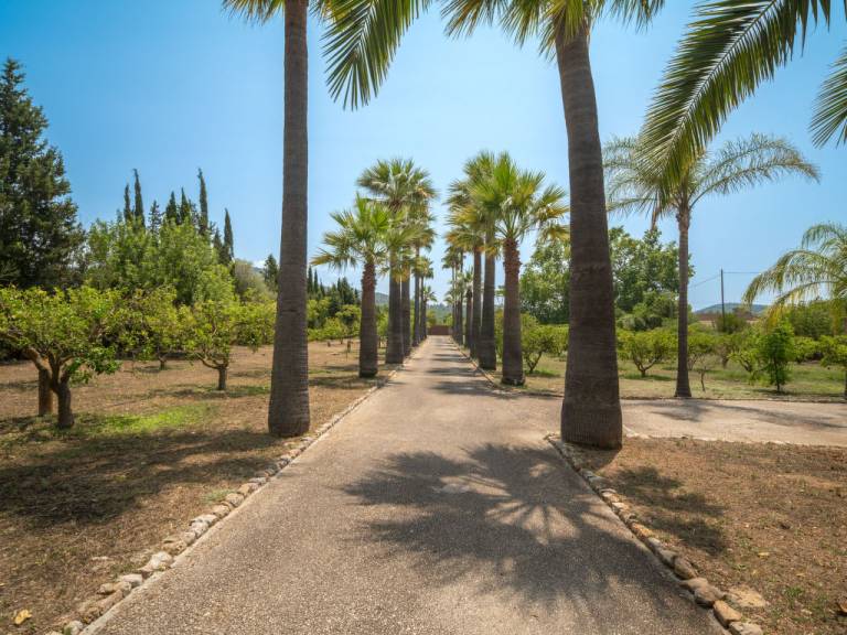 foto41