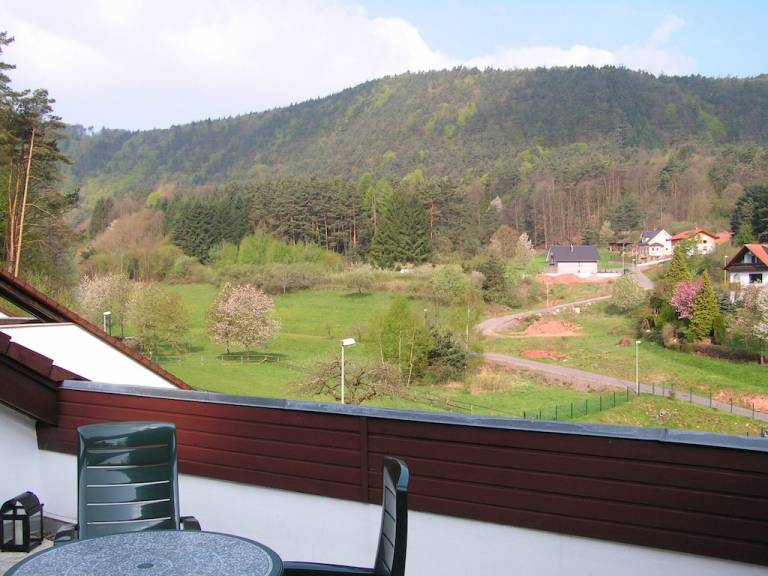 Ferienwohnung Erfweiler