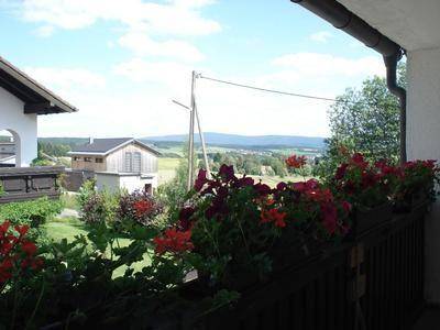 foto11