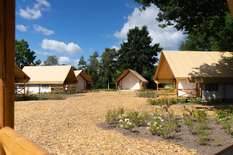 Cabin  Mol