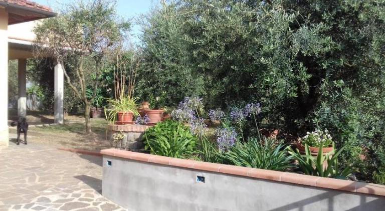 Nice holiday apartment | Pets are welcome — photo 3