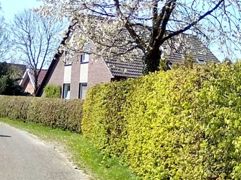 foto15