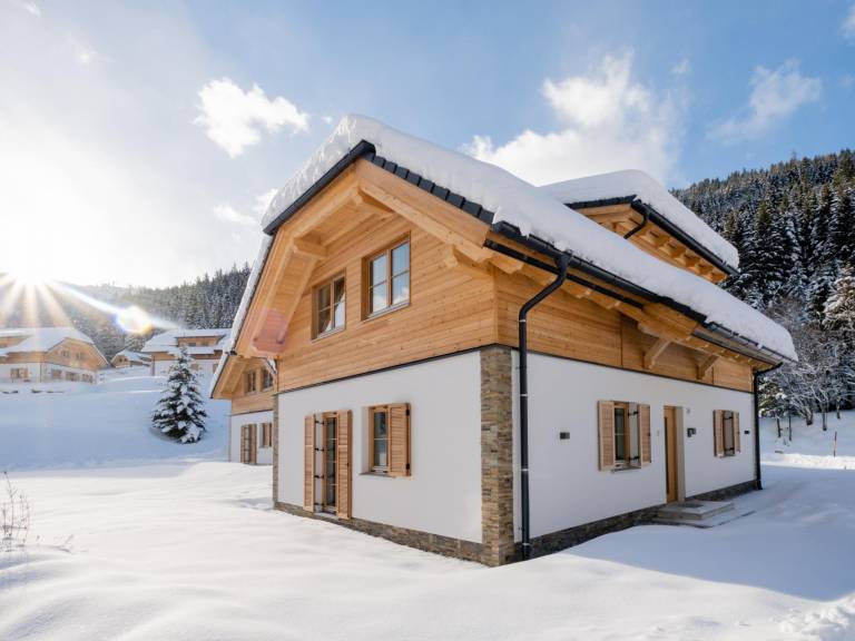 Chalet  Donnersbachwald