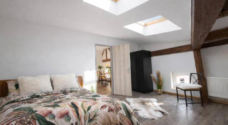 Rental apartment | Next to Holy Trinity Column in Olomouc