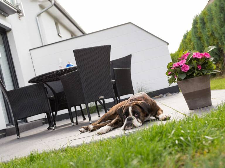 Holiday apartment with 2 rooms for 4 persons — photo 3