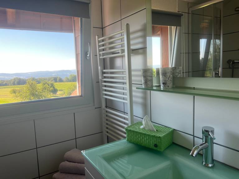 Studio Apartment 'Apartment Schweizblick, 35 Qm' with Shared Garden and Wi-Fi — photo 5