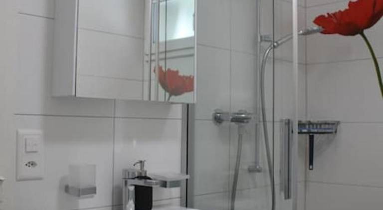 Apartment with 1 room for 3 persons — photo 4