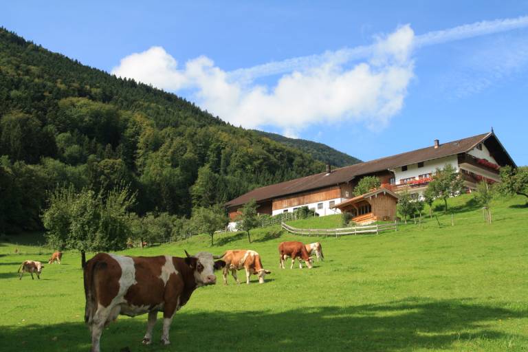 Ferienwohnung Schliersee