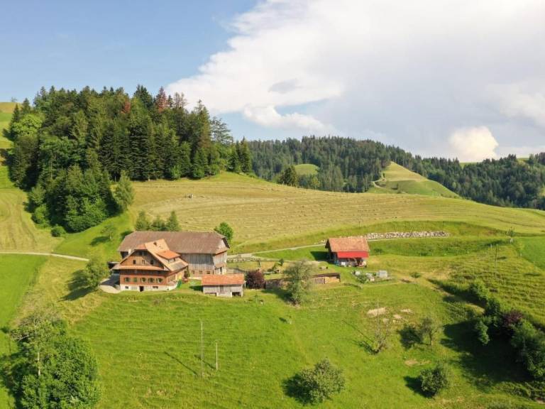Ober Tiefenb&uuml;hl