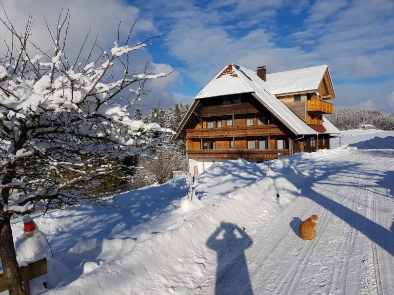 Appartement Schonach im Schwarzwald