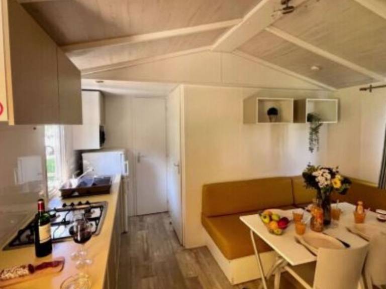 Mobile home with pool — photo 3