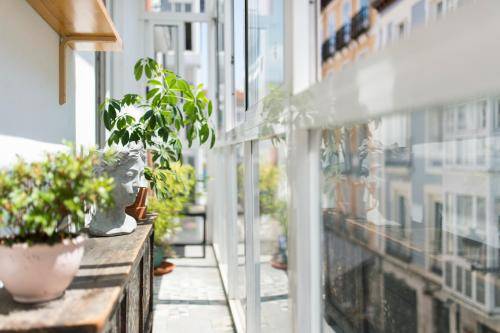 Apartamento Burgos