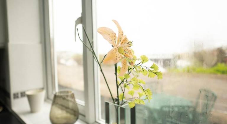 Lovely holiday apartment | Dogs allowed — photo 4
