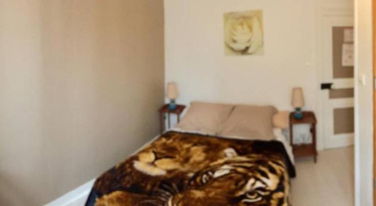Hotel du Chemin de Fer — photo 2