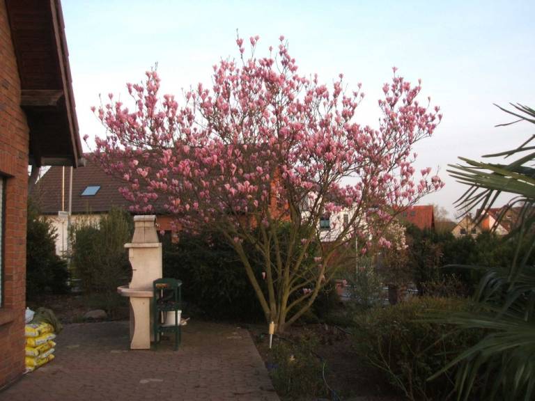 foto30
