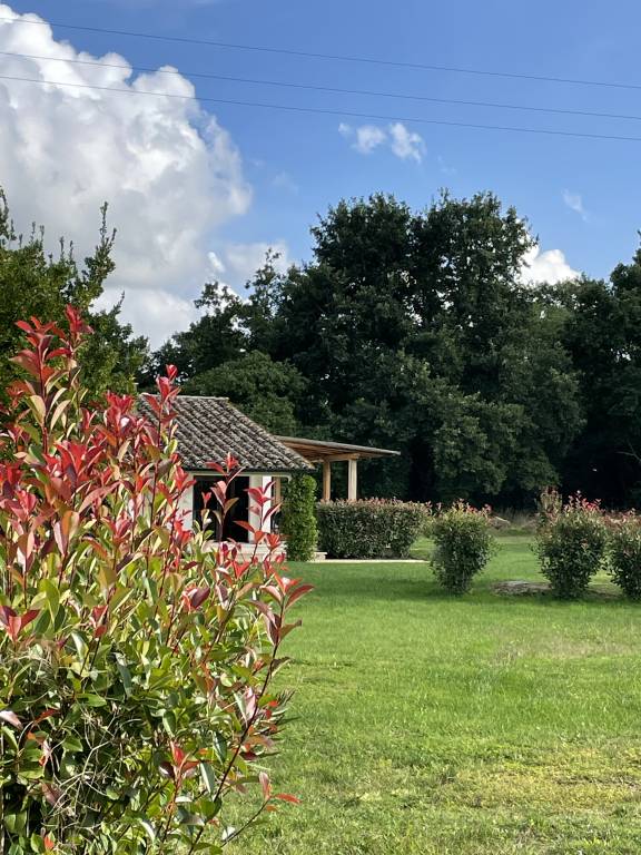 foto2