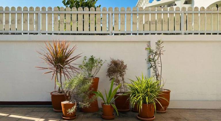 Rental apartment | Pets allowed — photo 4