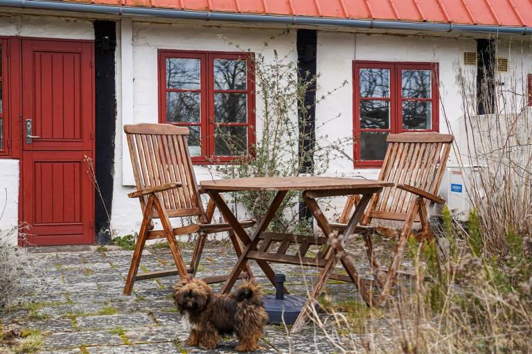 Vacation home with grill & terrace | Sea view | Dogs allowed in Allinge
