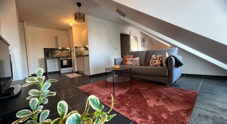 Rental apartment with 1 room for 4 persons in Olivet