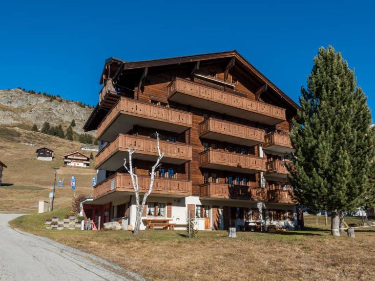 Ferienwohnung Riederalp