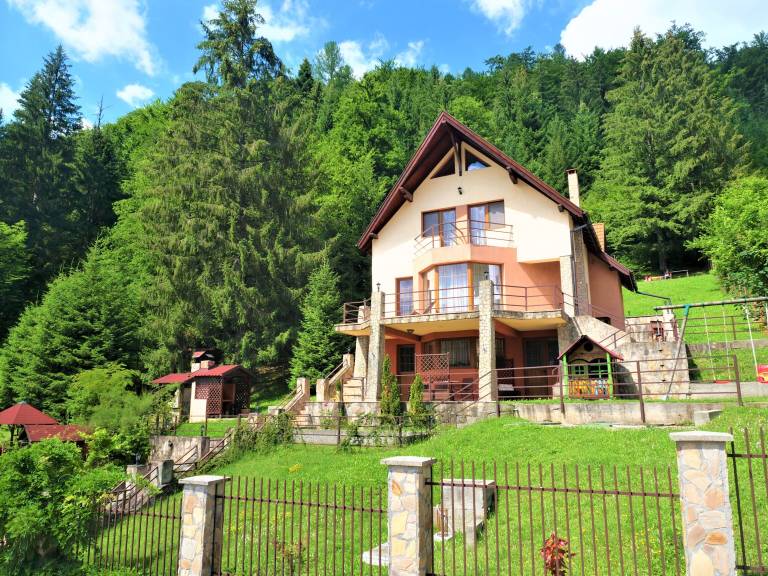 Villa Timișu de Jos