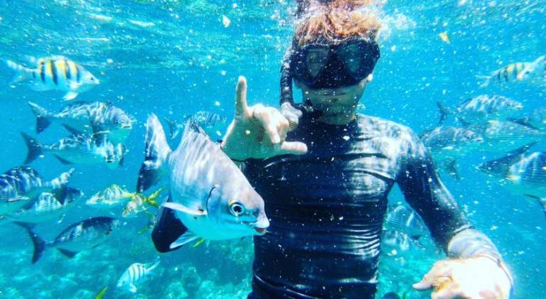 Florida Keys Boat Trips Multi Activity — photo 5