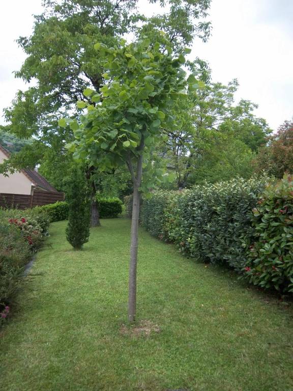 foto19