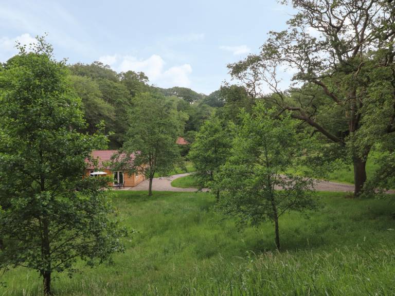 foto14
