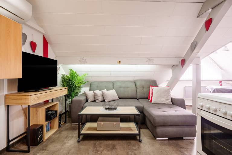 'Gîte Cosy' Apartment with Mountain View, Wi-Fi and Air Conditioning — photo 2