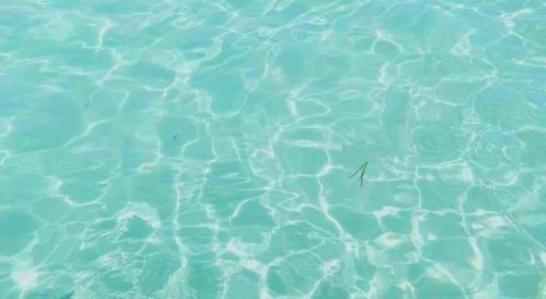 Little Boracay Kuya Waw Floating Cottage — photo 4