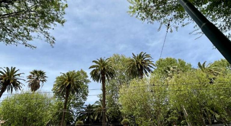 Pleasant holiday apartment | Next to Naples Cathedral | Pets allowed — photo 4