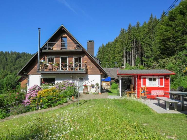 foto12