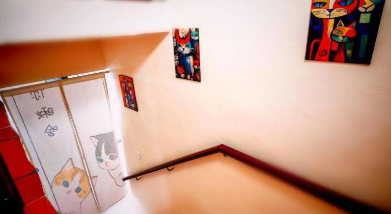 foto23