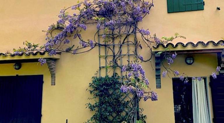 Nice house | Pets allowed — photo 3