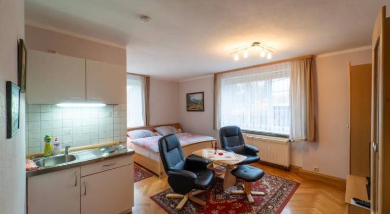Apartment with private pool, BBQ & yard in Chemnitz