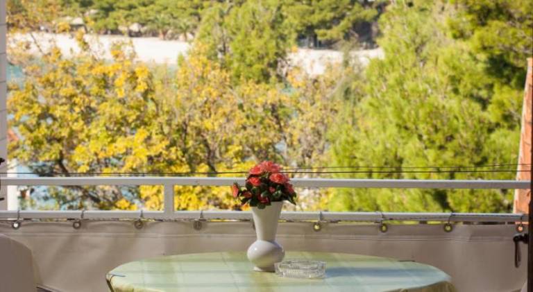 Rental apartment with terrace, barbecue & yard — photo 4