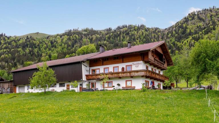 Ferienwohnung  Walchsee