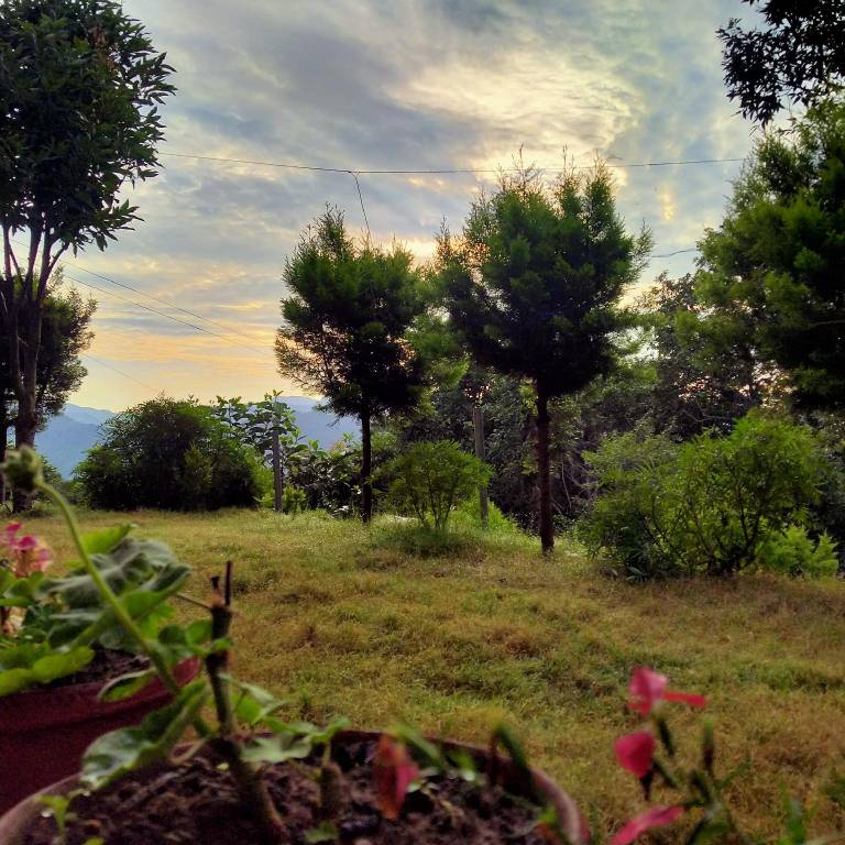 foto5