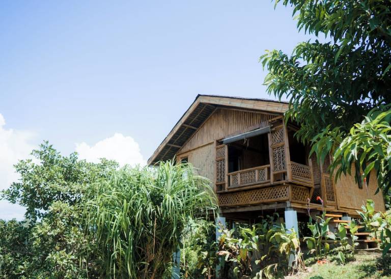 Lodge  Buenavista