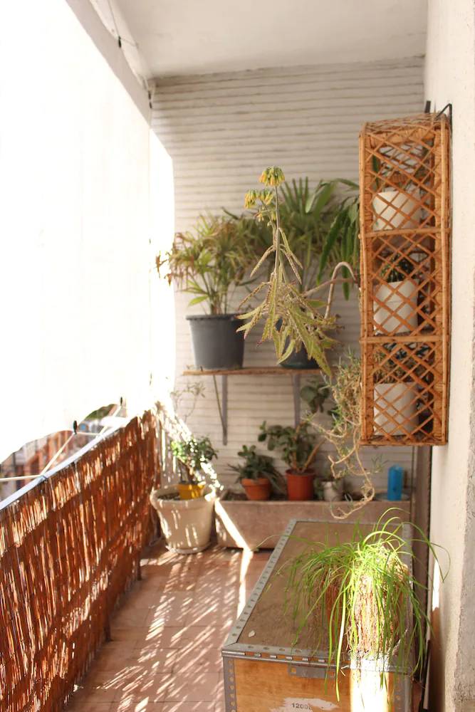 Apartamento Zamora
