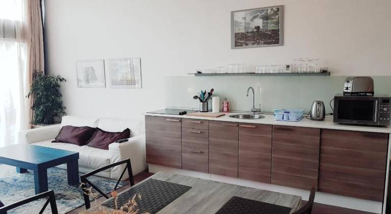 Rental apartment | Next to Bratislava Castle | Pets are welcome — photo 4